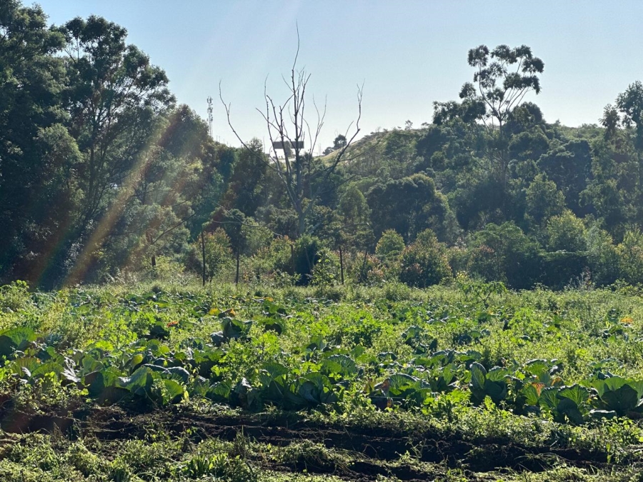 Commercial Property for Sale in Graceland Eastern Cape